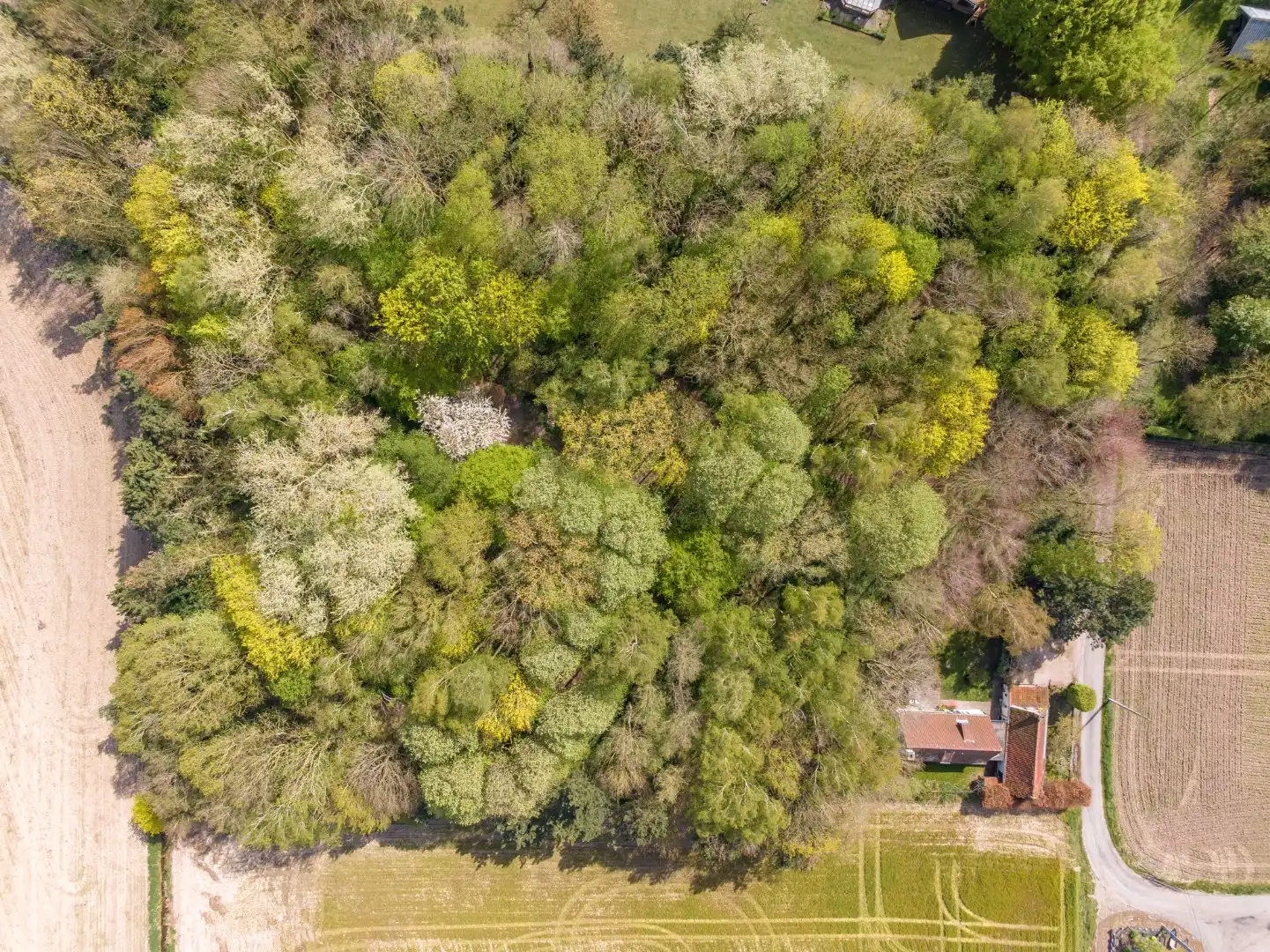 Exclusieve alleenstaande woning te koop in het idyllische en landelijke Kooigem foto 19