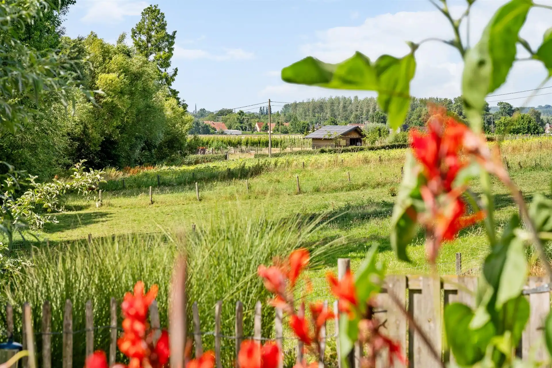Charmante B&B met woonst, genietend van een prachtig zicht! foto 36