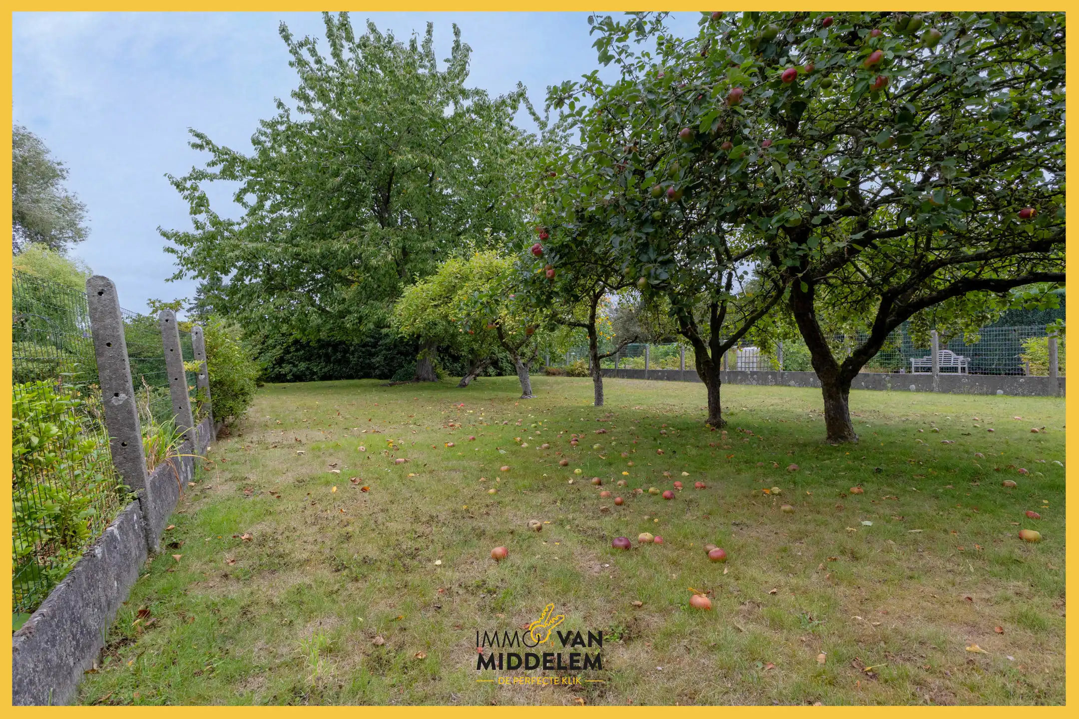 Onder OPTIE! foto 19