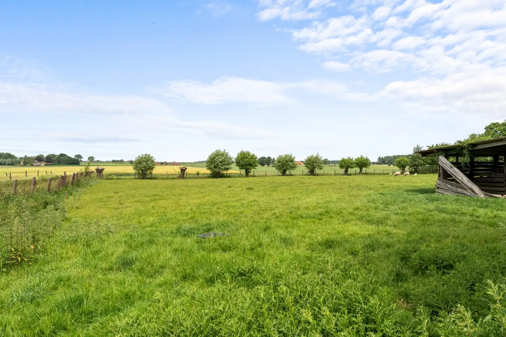 Karaktervolle hoeve met schuur in Oostveld foto 26