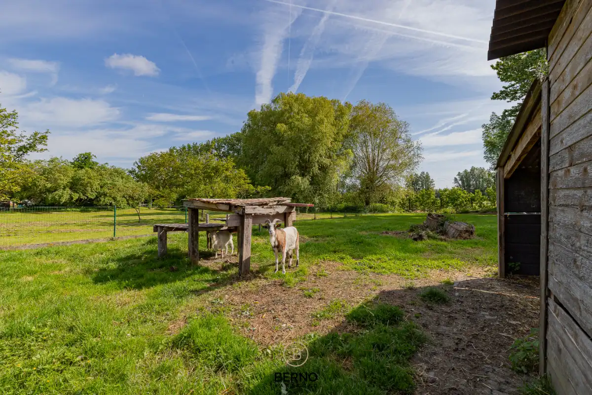 Recent gerenoveerde landelijke woning met uitzonderlijke tuin op 1.856 m² foto 19