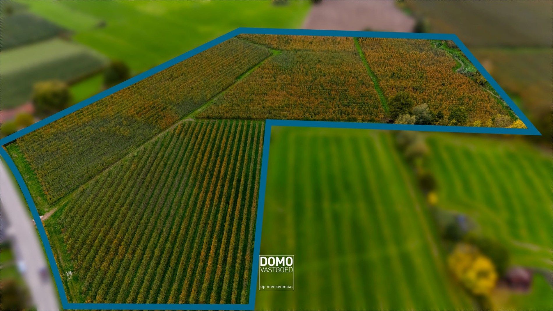 AGRARISCH GELEGEN PERCELEN BESTEMD ALS WEILAND EN BOOMGAARD TE KOOP IN HERK-DE-STAD foto 3