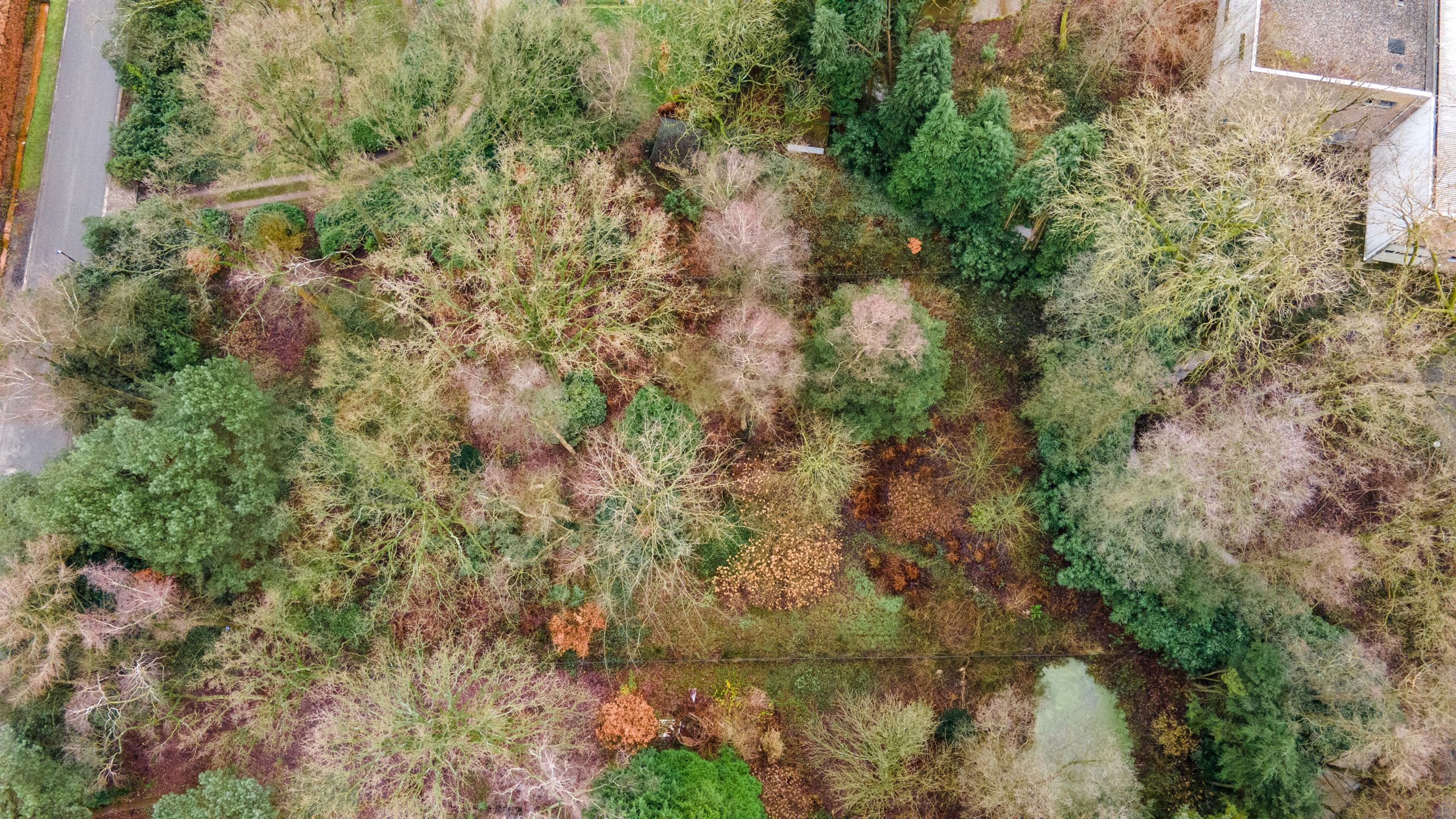 Mooi gelegen bouwgrond op 2.404 m² in een rustig gelegen gegeerde omgeving aan het einde van een doodlopende straat. foto 6