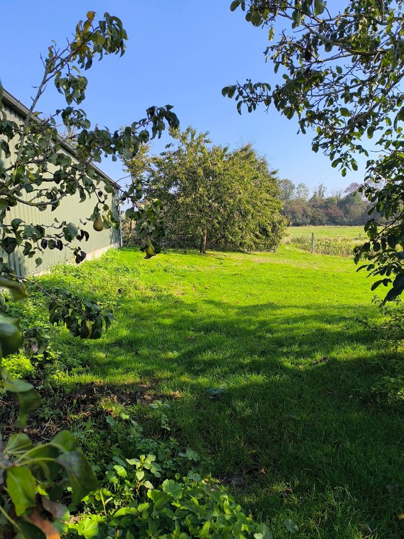 Hoeve foto 4