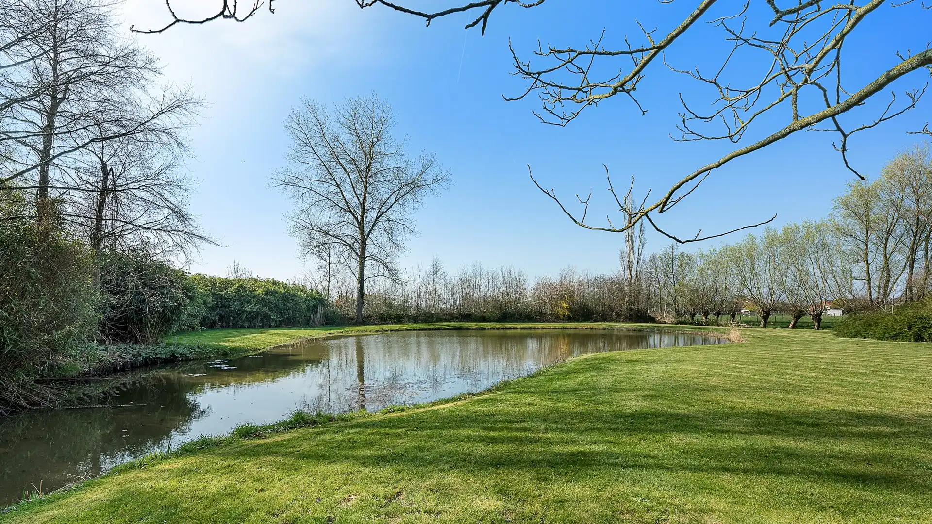 Landelijke villa op ruim 1 hectare grond te Maldegem foto 3