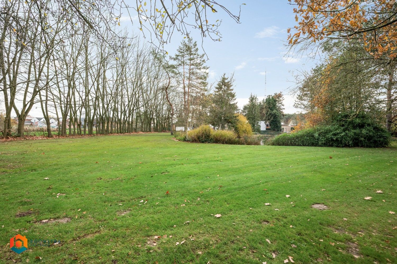 Te renoveren woning met 4 slpkrs en magazijn van 360m² op ruim perceel van 5730m² foto 6