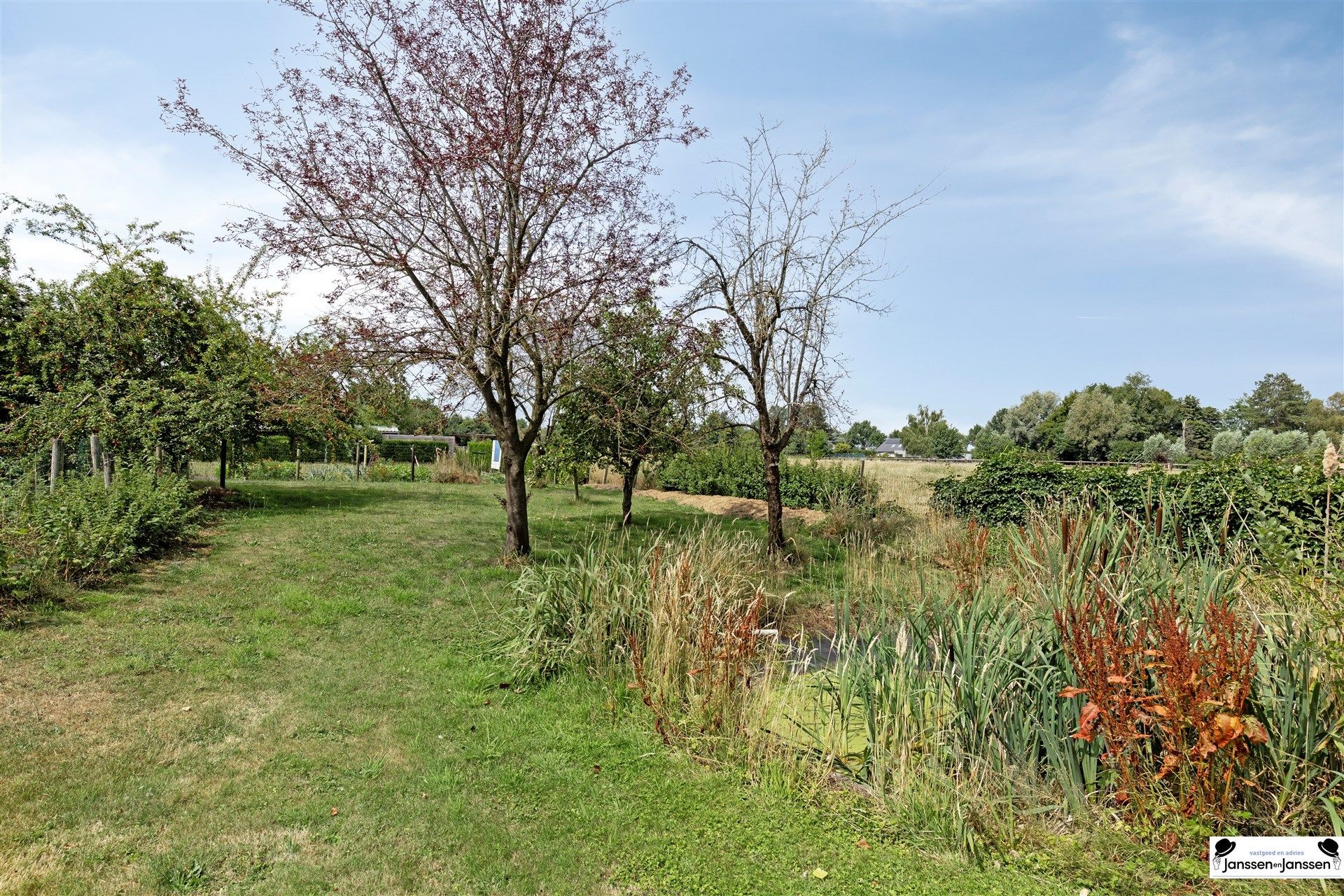 Verkavelbaar perceel bouwgrond van 1.490 m²!  foto 8