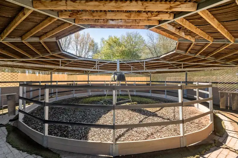 Moderne villa met hippisch complex op 15.856m²  foto 38