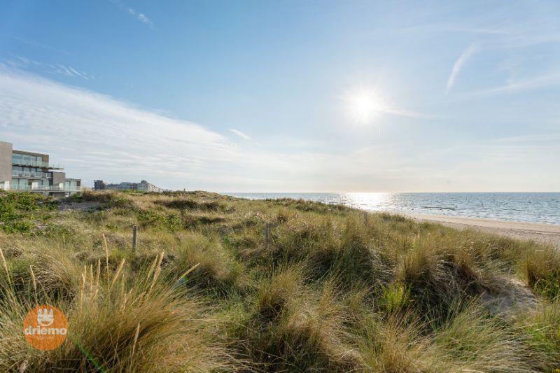 EENSLAAPKAMERAPPARTEMENT IN SINT-IDESBALD - Diga Verde 1.16 foto 8