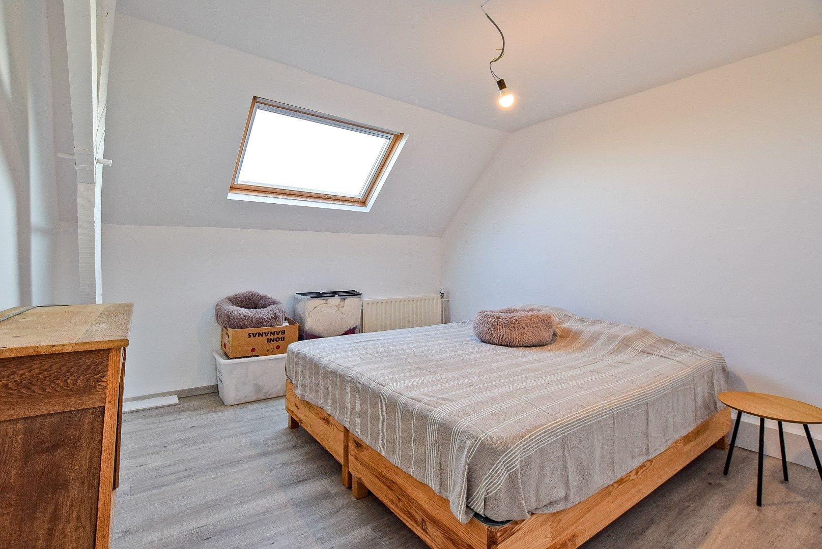 KIJKDAG ZATERDAG 17/01 VAN 14U TOT 16U! foto 13