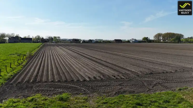 Vastgoed Select: Bouwgrond te koop in Watervliet 1010 m² tussen de akkers, westgerichte tuin foto 3