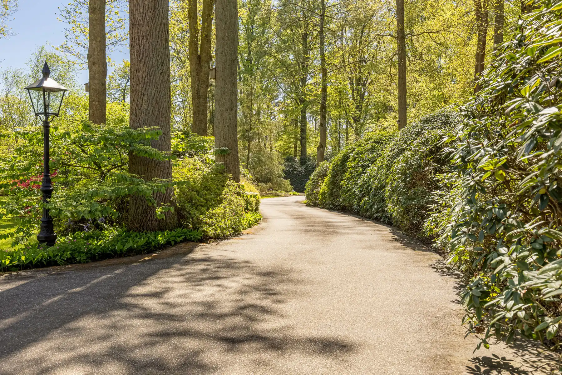 KASTEELVILLA MET BINNENZWEMBAD OP 7.233M² foto 17
