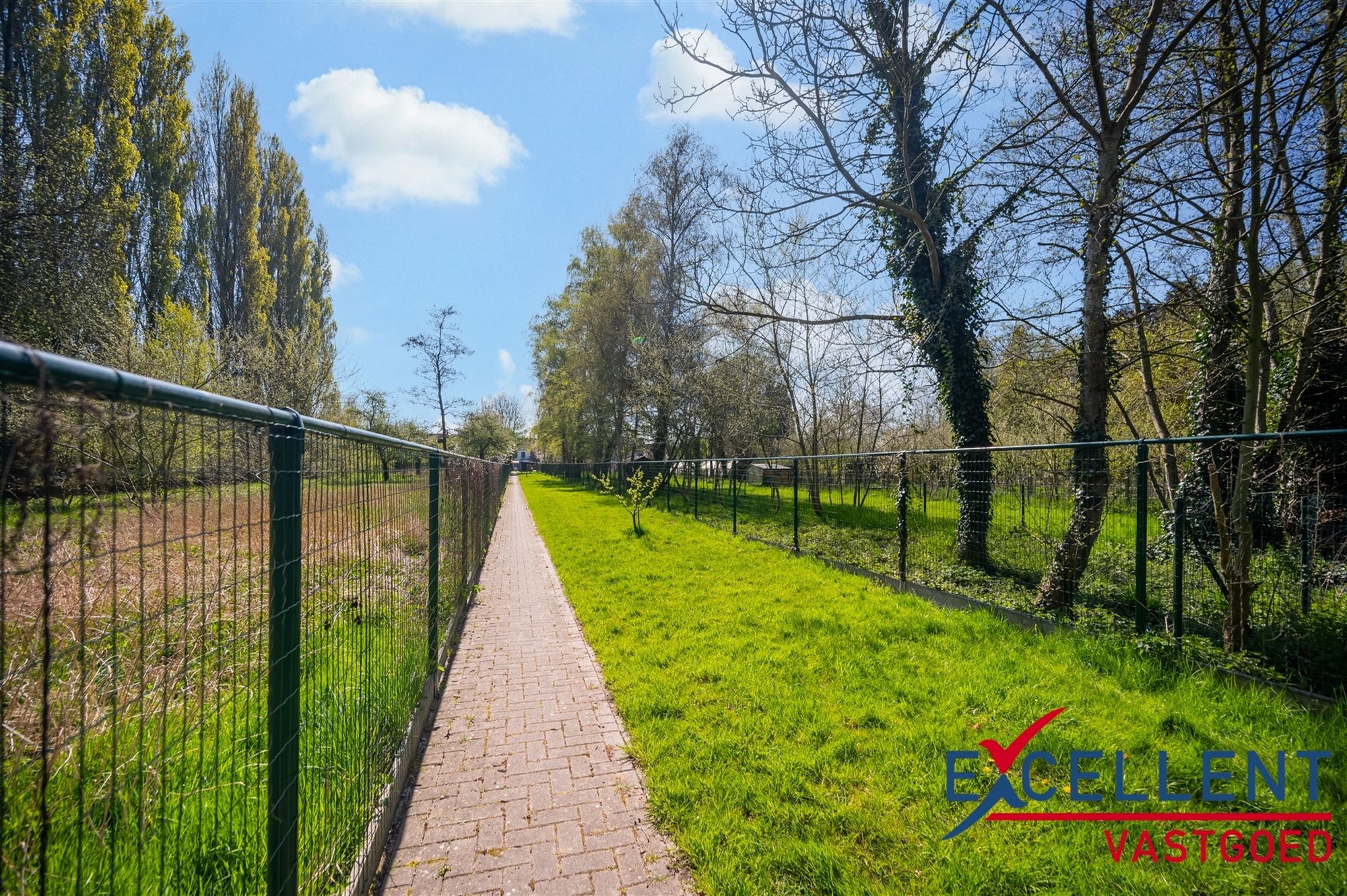 Instapklare en gerenoveerde woning centrum Deinze te koop foto 11