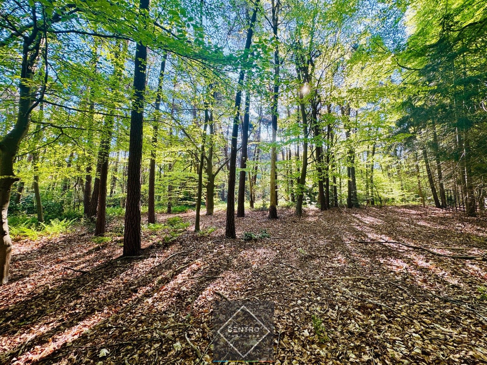 Exclusief (palend aan het Buskampveld!) perceel BOUWGROND (5.506m²) in het residentieel "WOONPARK" en BOS te Hertsberge (Oostkamp)! foto {{pictureIndex}}