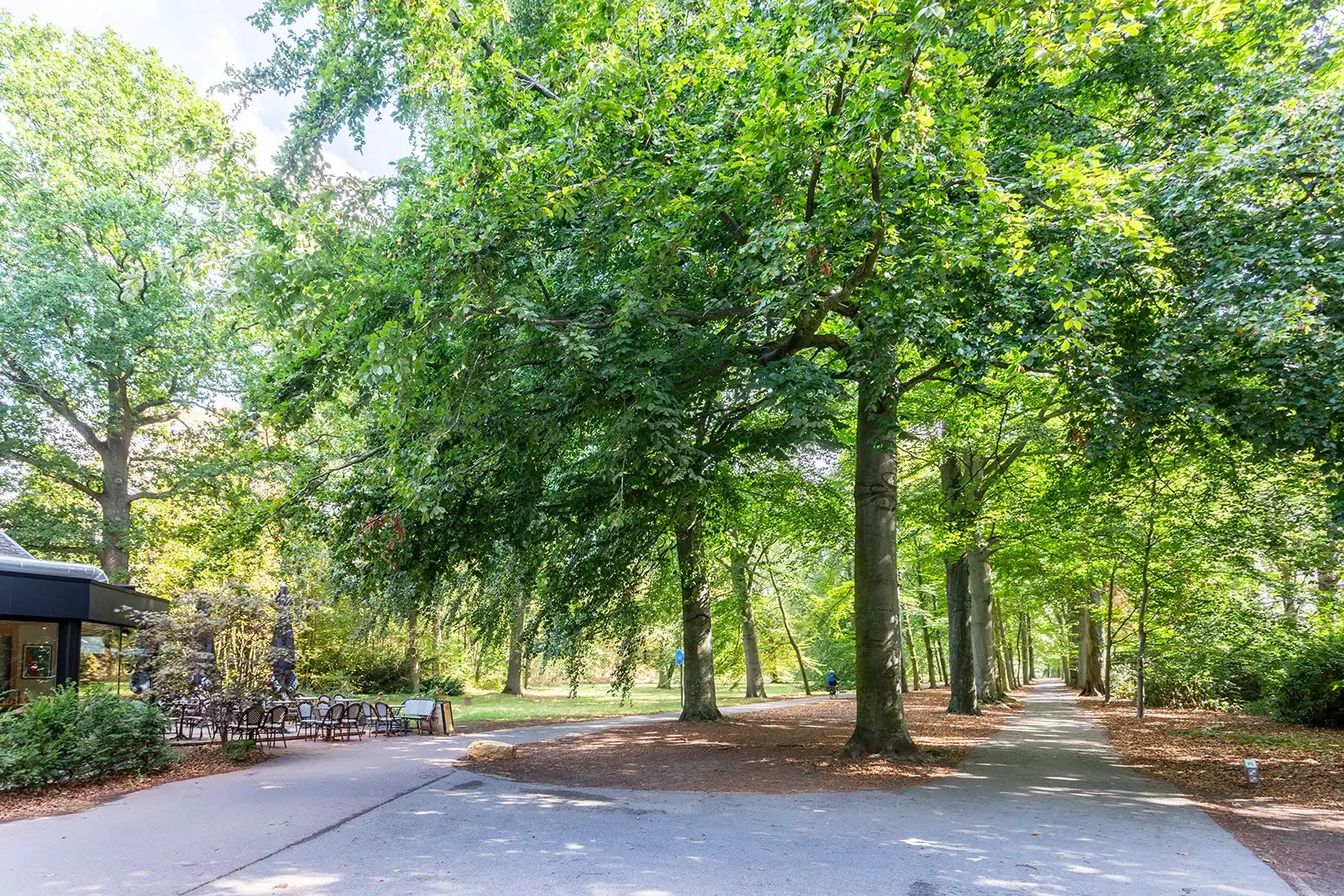 Stijlvol vernieuwd aan het Nachtegalenpark foto 29