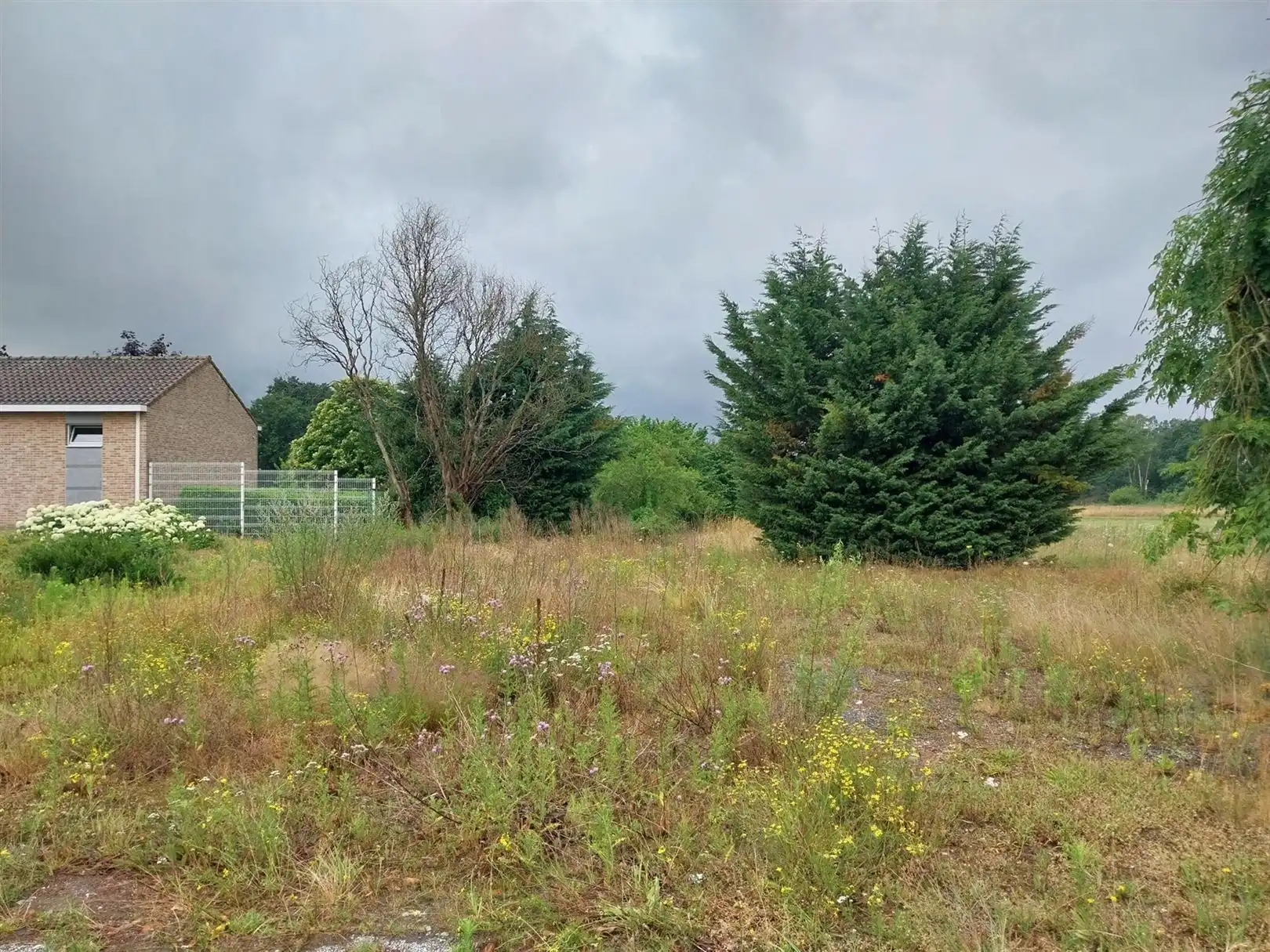 Grond te koop Lommelsesteenweg lot 1 - 3970 LEOPOLDSBURG