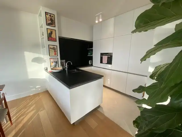Ruime en gemeubelde penthouse op het trendy Eilandje. foto 5