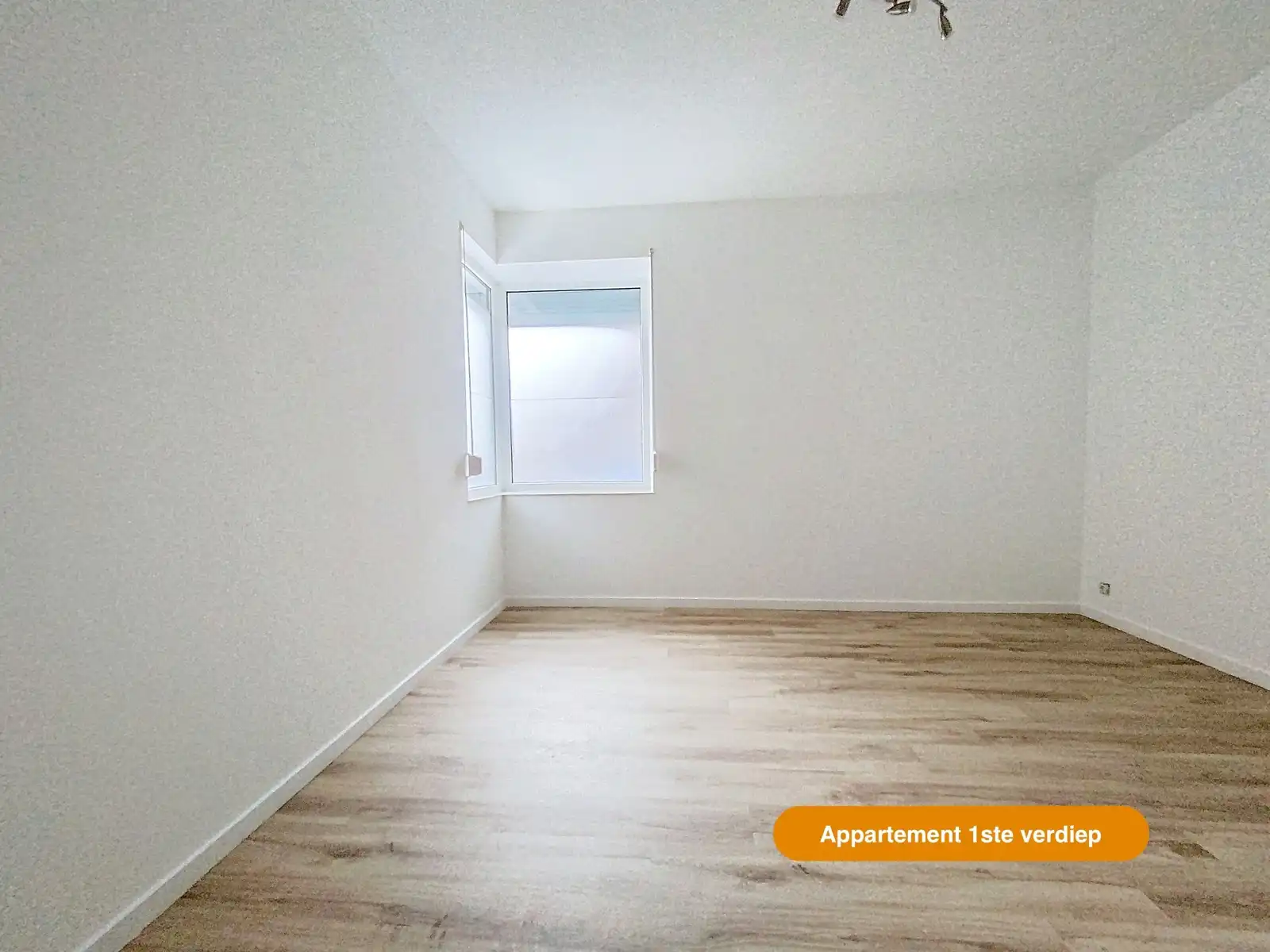 Unieke opbrengsteigendom met 2 appt + handel foto 13