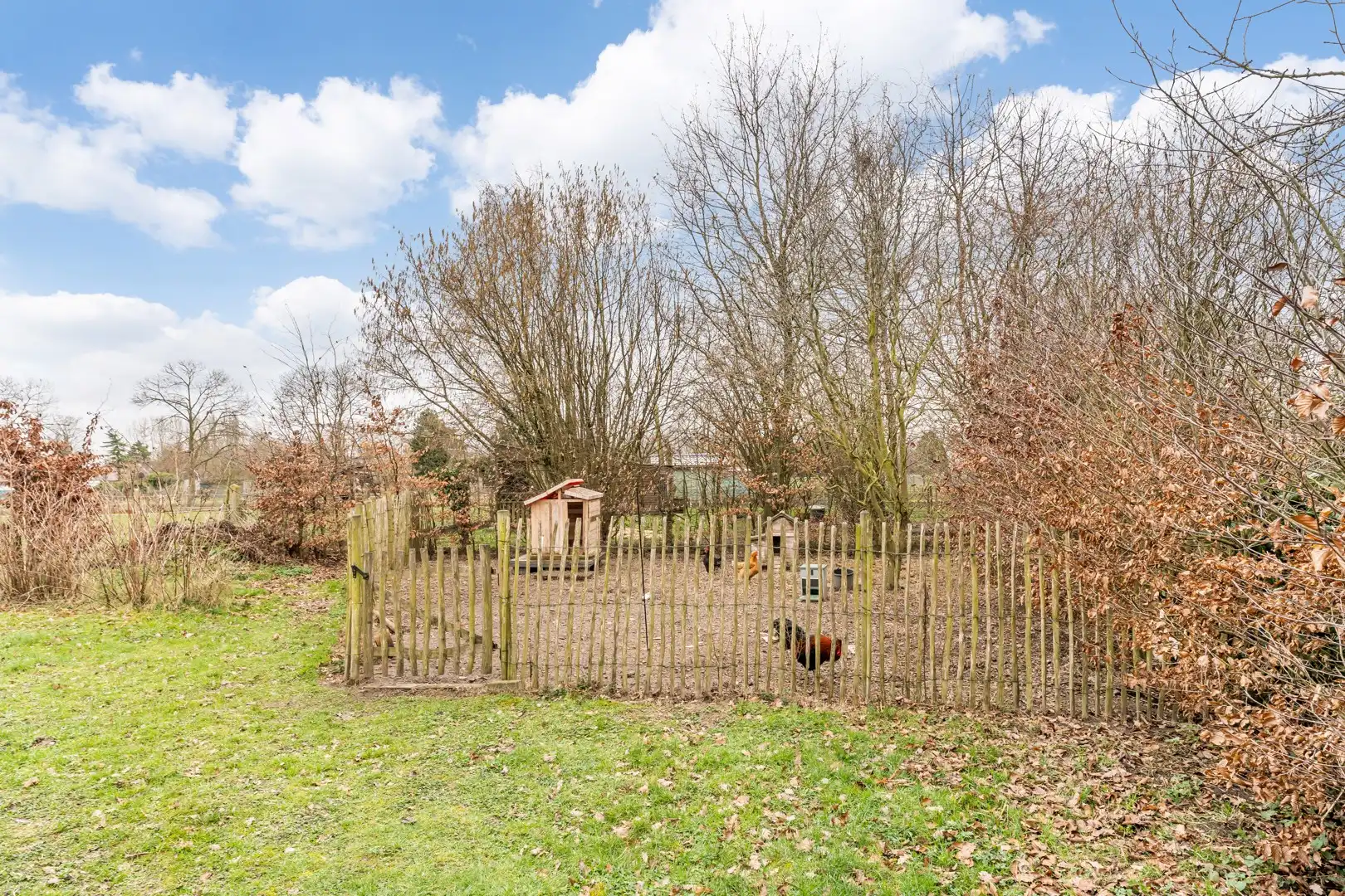 Instapklare woning op ruim perceel met bijgebouw – ideaal voor dierenliefhebbers foto 28