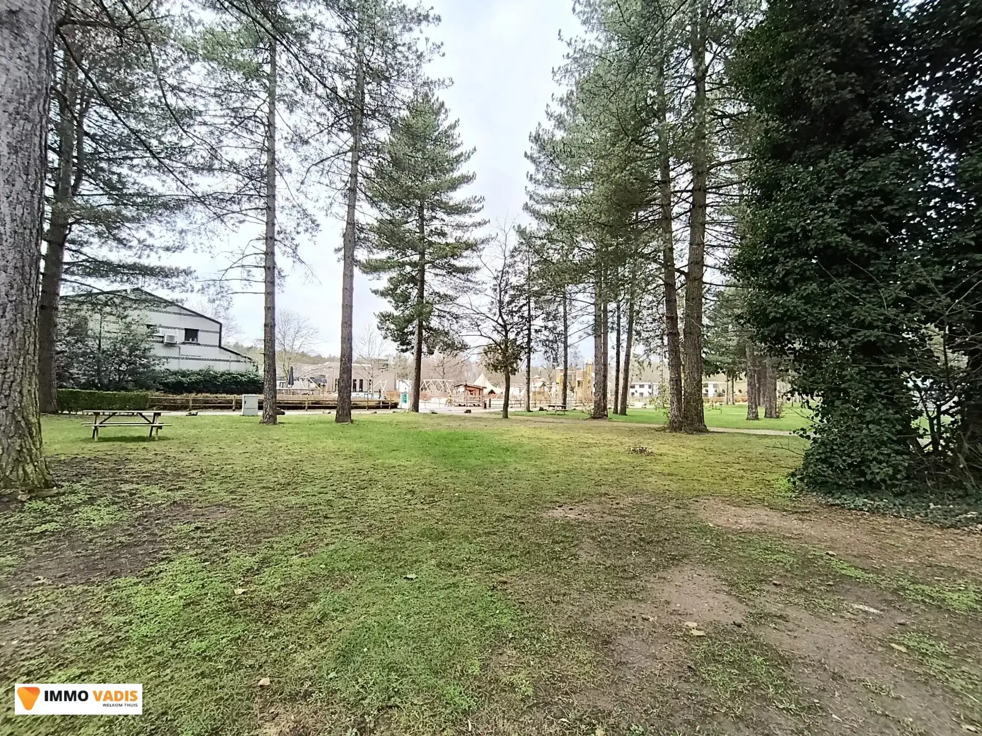 Charmante vakantiewoning met sauna op topligging in Zutendaal foto 20