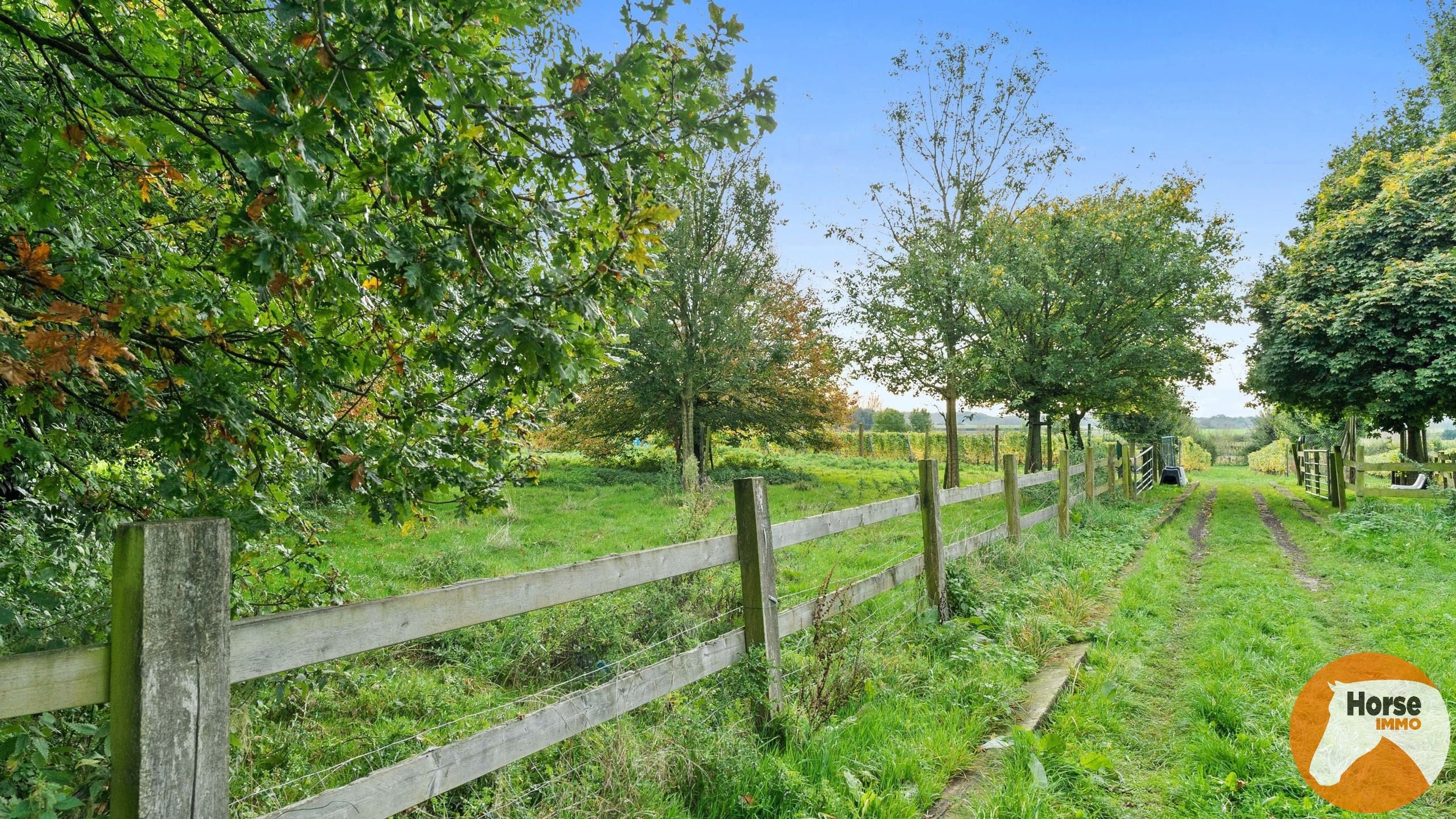 ELINGEN – Veelzijdige vierkantshoeve met ruime schuur foto 35