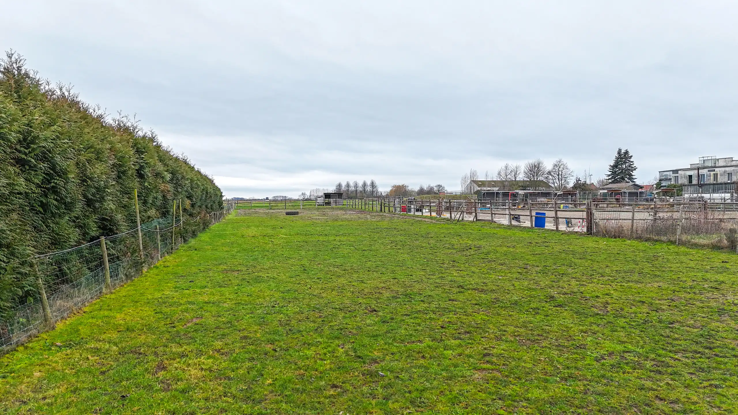 Landelijk gelegen te renoveren hoeve op ruim perceel! foto 28
