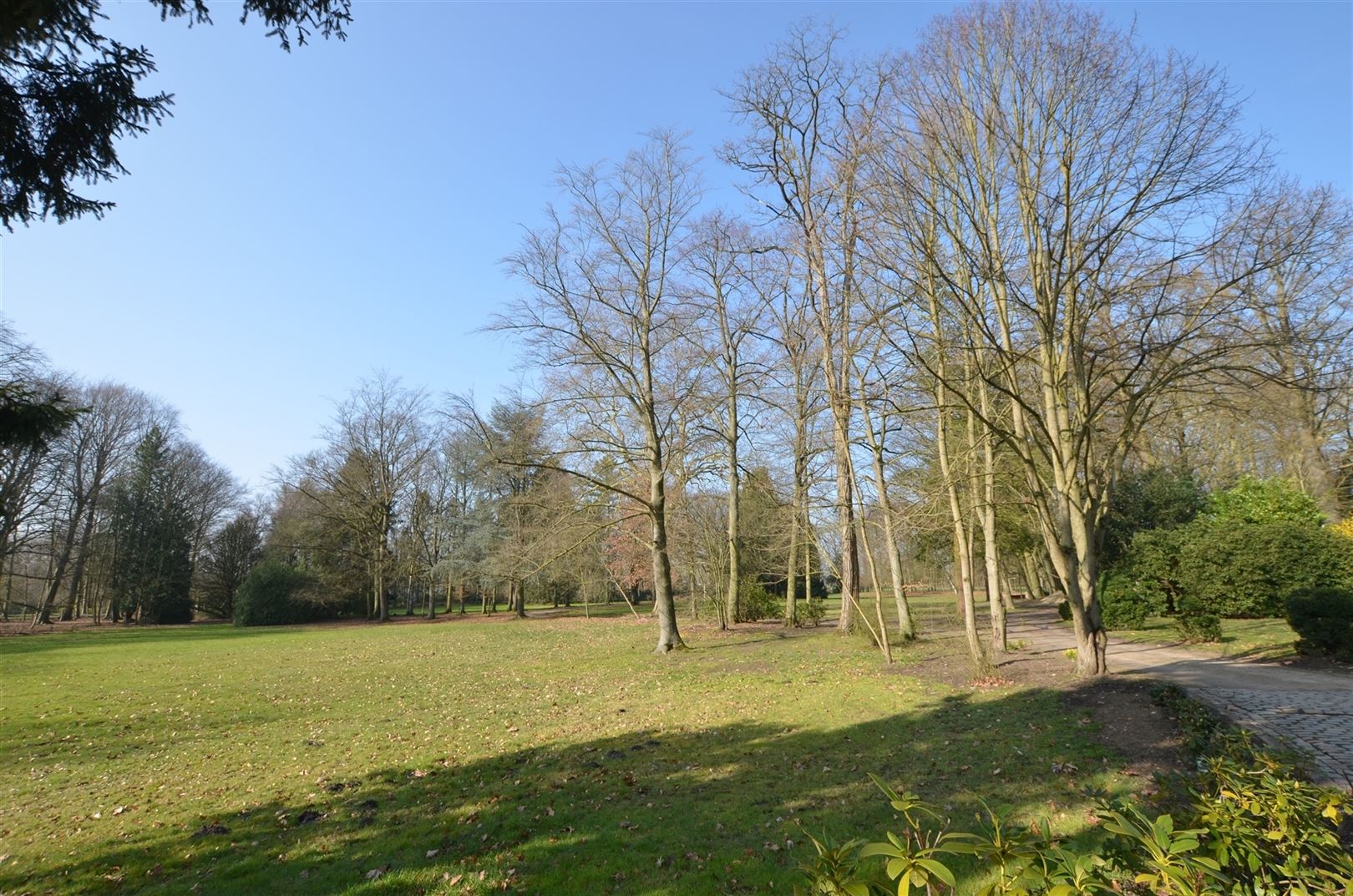 Uniek kasteeldomein op ±7ha nabij het centrum van Hasselt foto 12