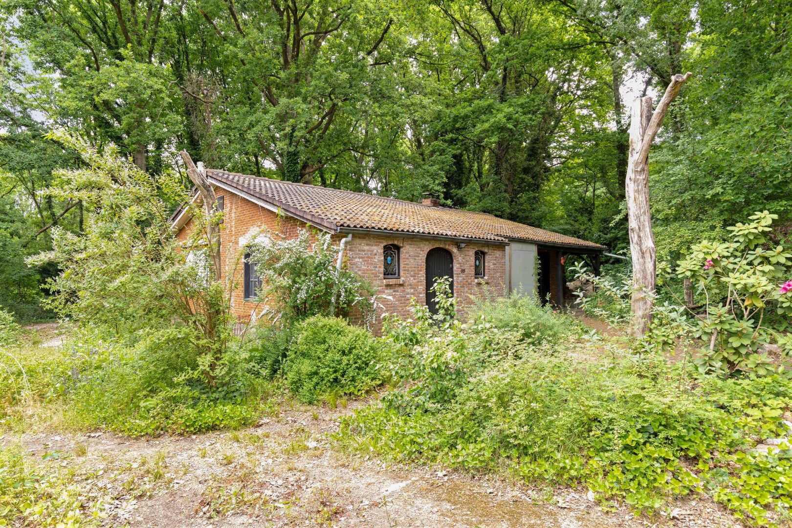 Rustige gelegen woning met veel mogelijkheden in Rotselaar   foto 3