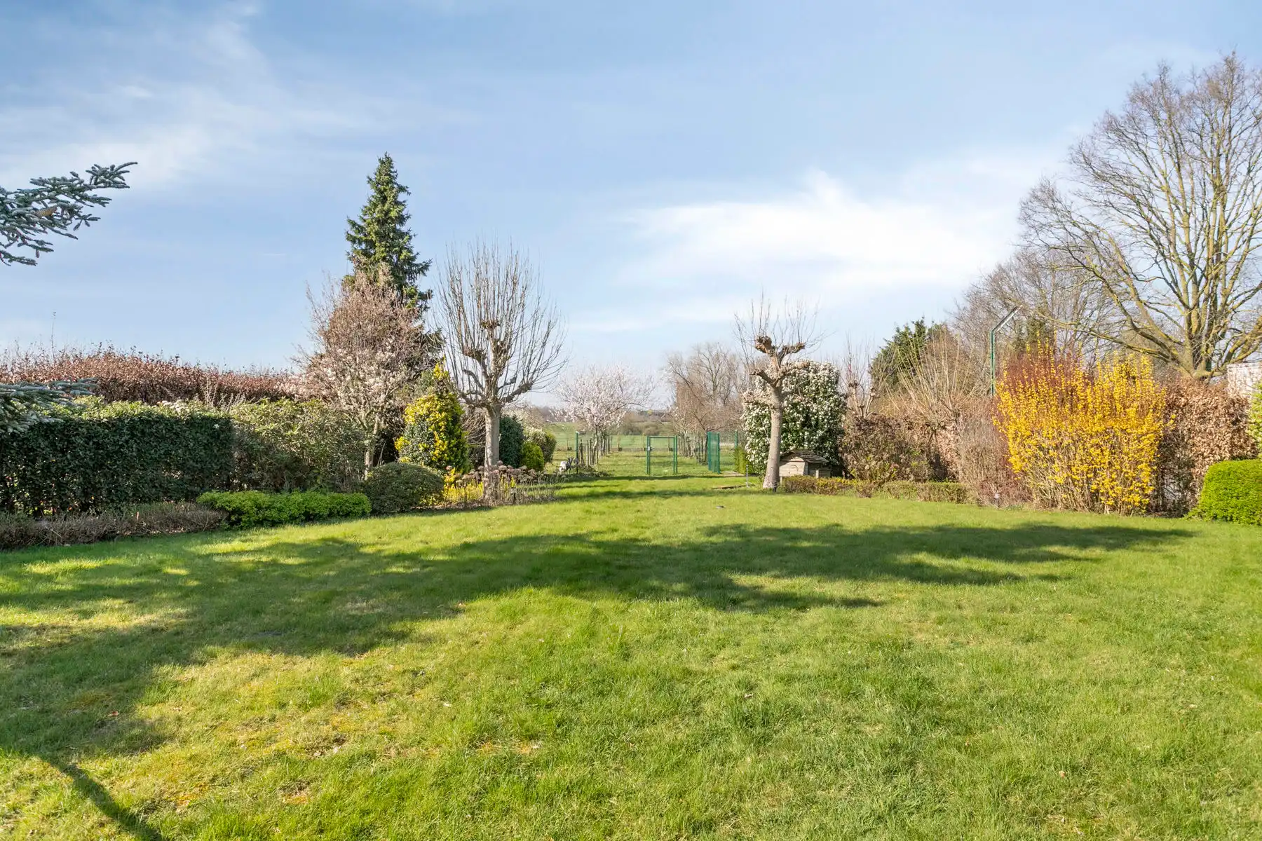 Villa met 4 slaapkamers en prachtig uitzicht op 2399 m² foto 27