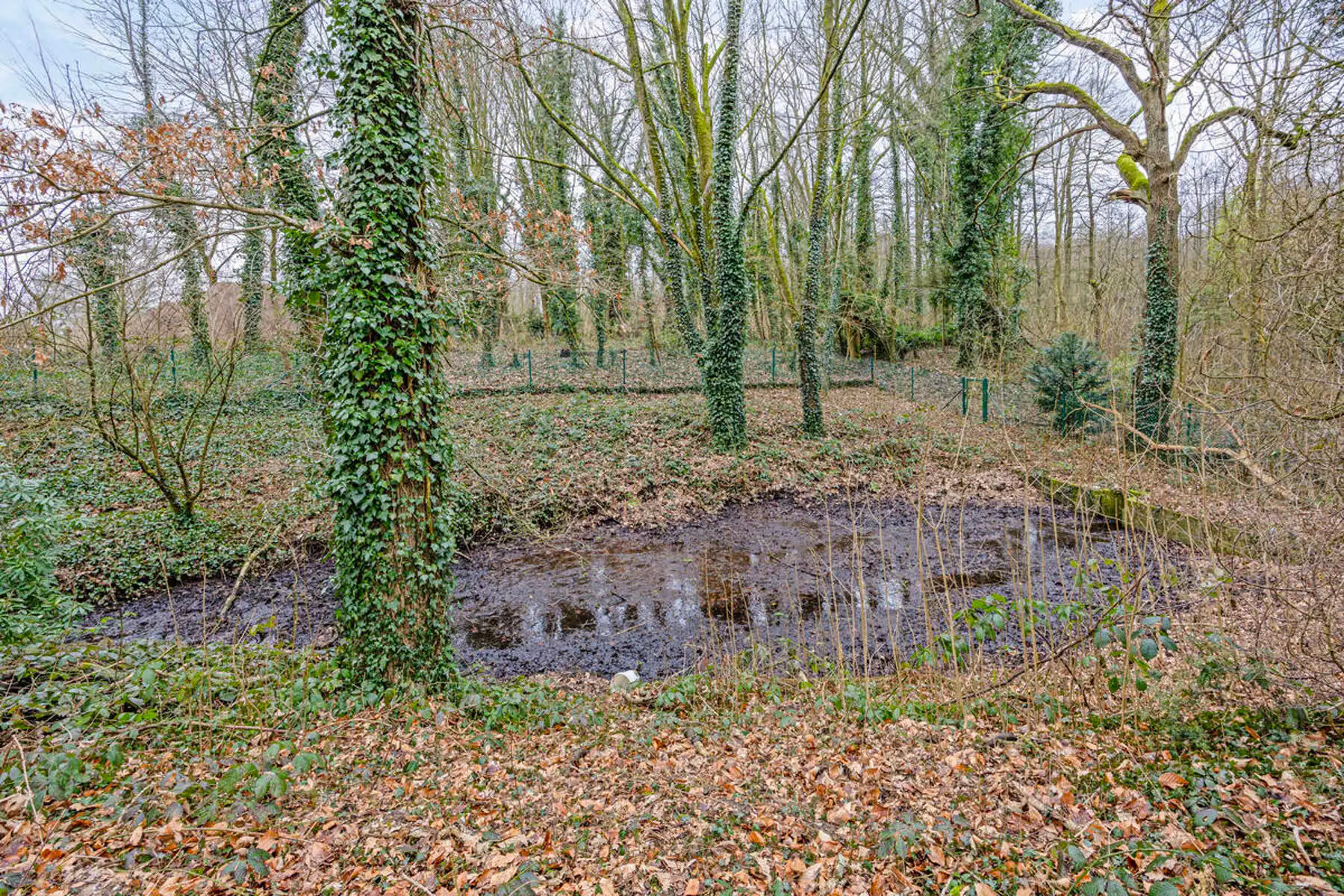 Authentieke pastorie, stijlvol gerenoveerd met comfort foto 22