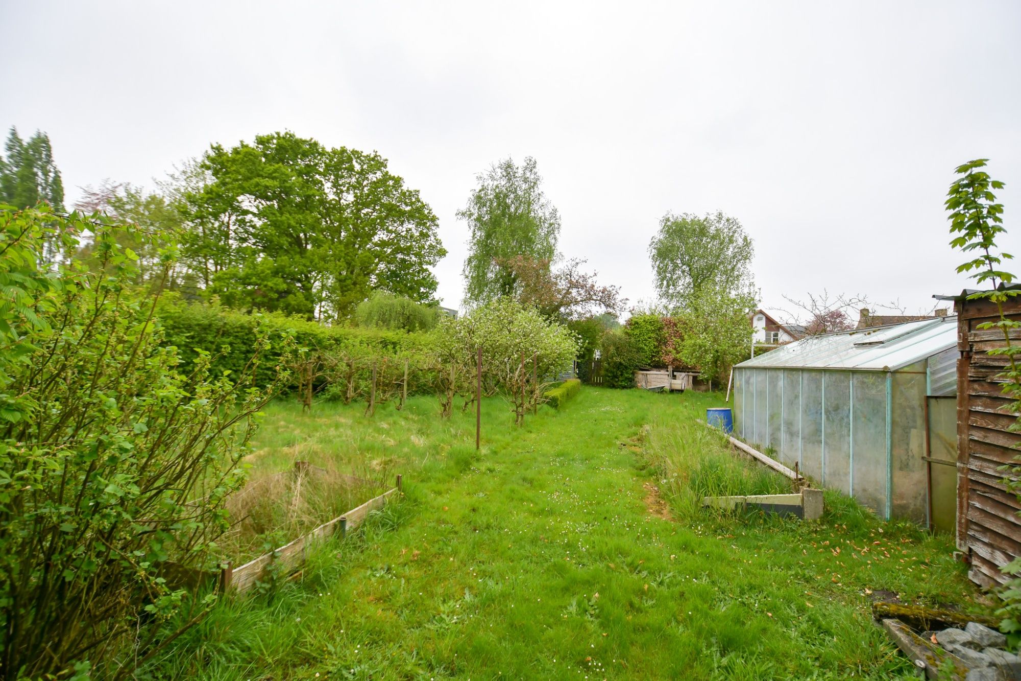 GOED GELEGEN WONING met prachtige idyllische tuin en uitweg op een perceel van 2034 m² met landelijke uitzichten foto 24