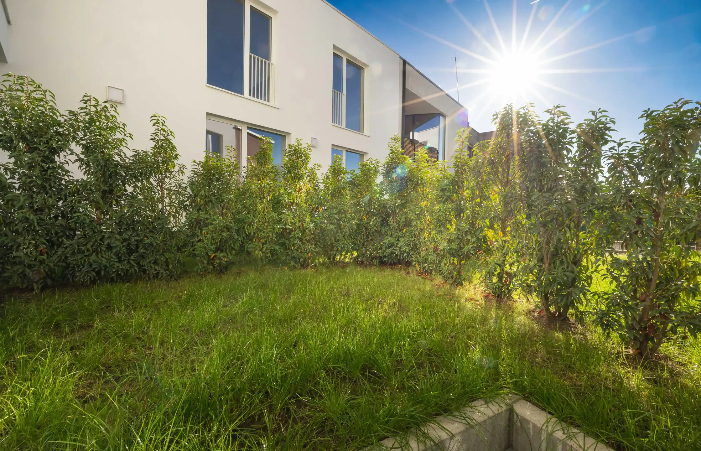 Een innovatief project foto 19