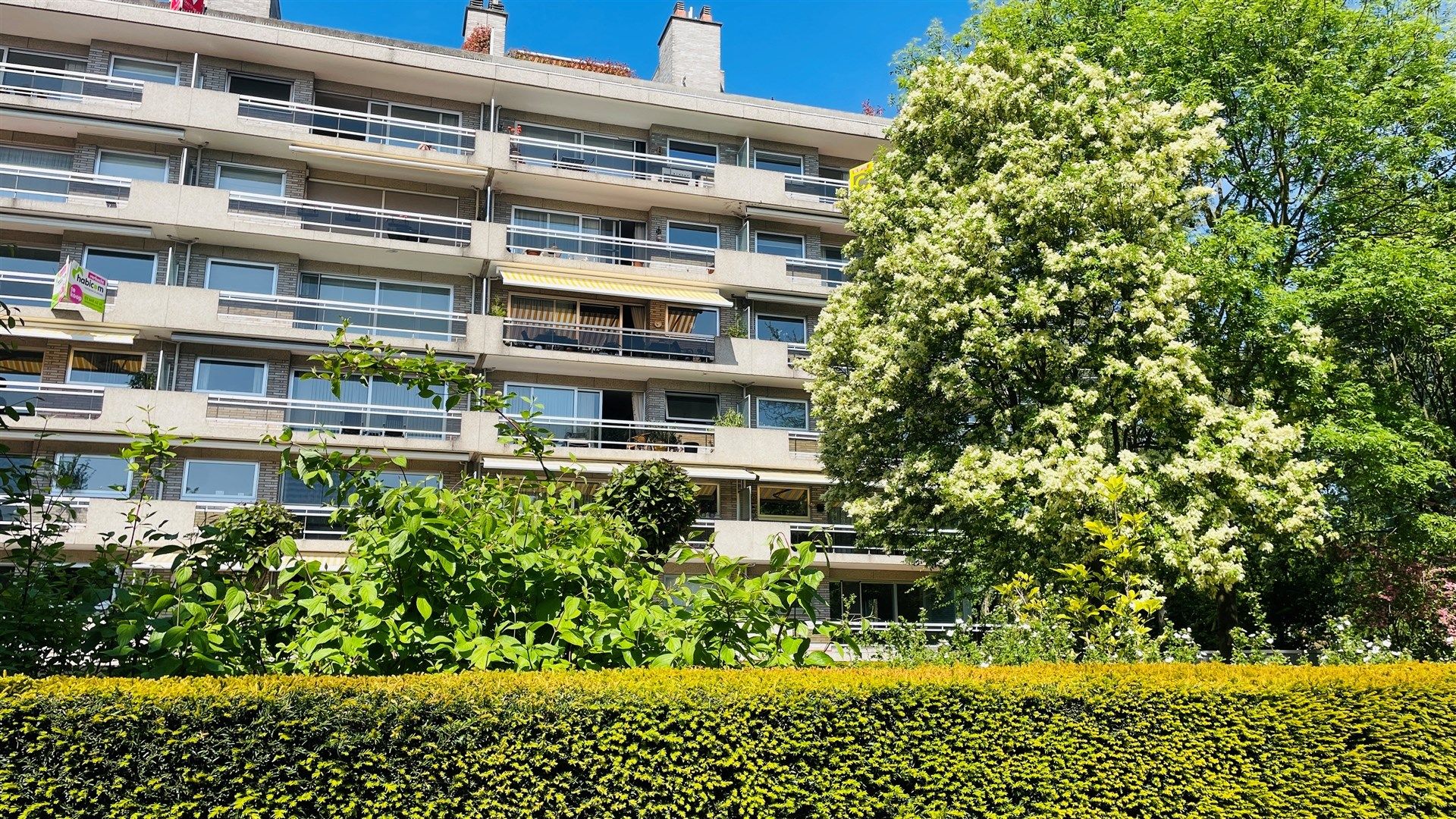 Ruim 3-slaapkamerappartement met 2 terrassen en garage in rustige buurt van Berchem foto 16