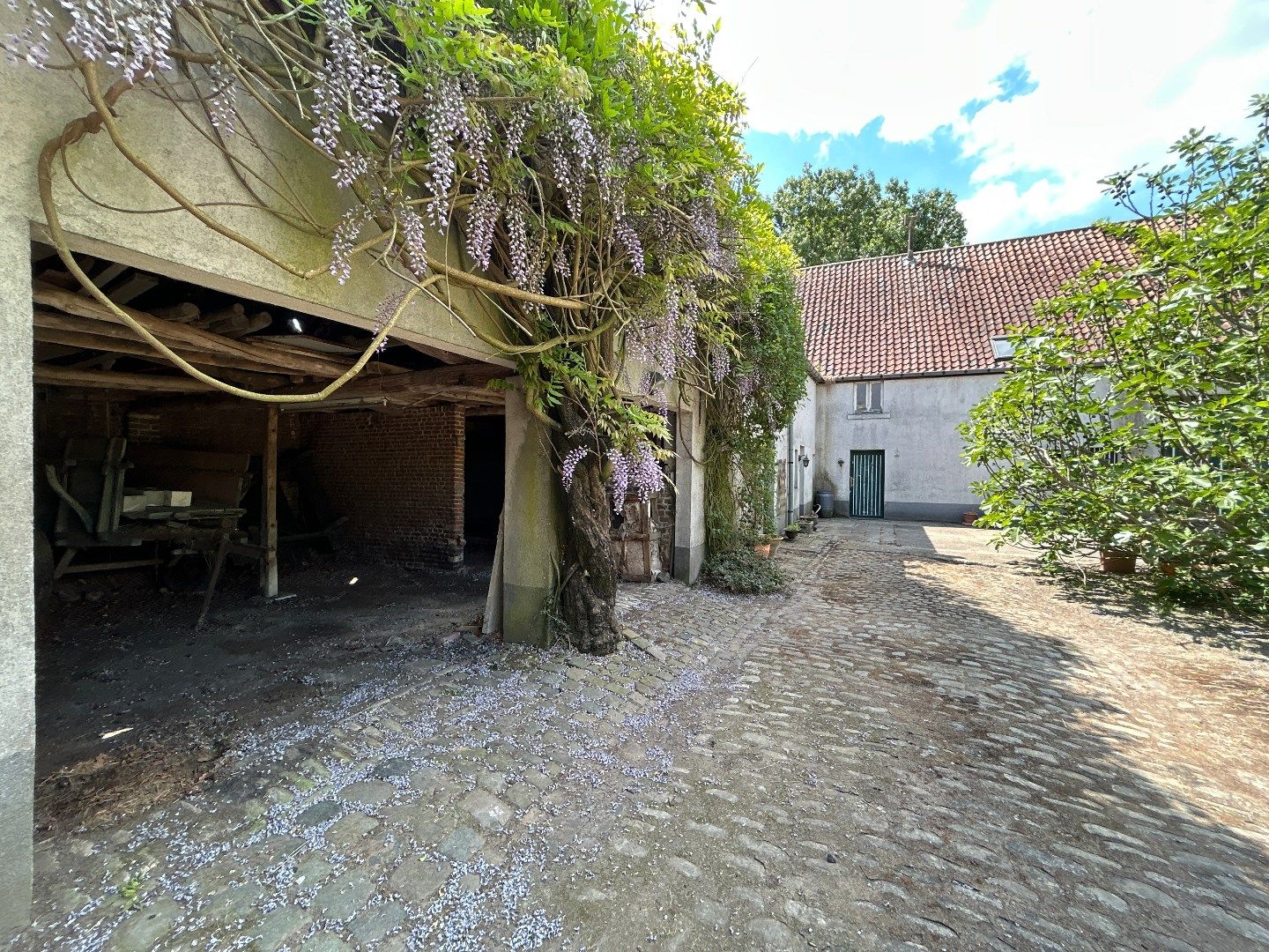 Hof Candriesche – Droomhoeve vol karakter in hartje natuur foto 5