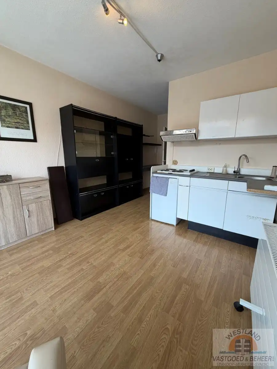 Te renoveren studio foto 5