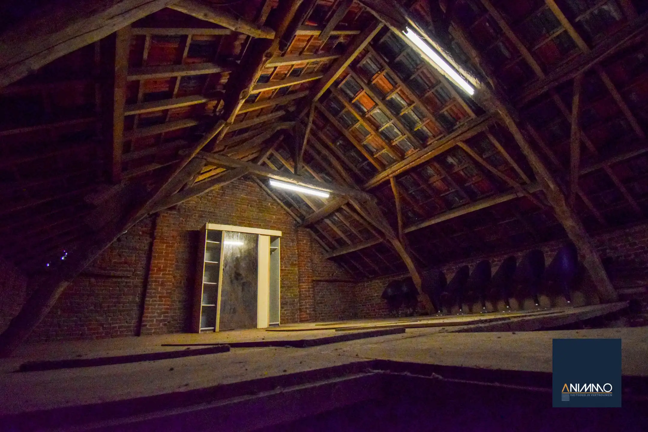 Boerderij te koop foto 44