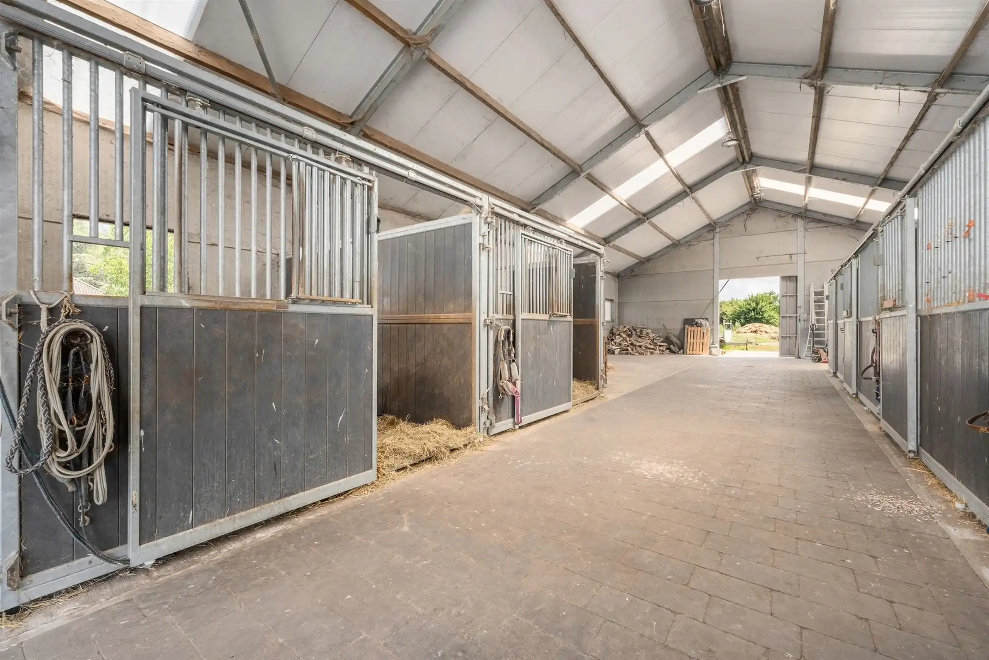 Unieke eigendom van 14.139m² voor paarden- of dierenliefhebbers of wie droomt van ruimte  foto 15