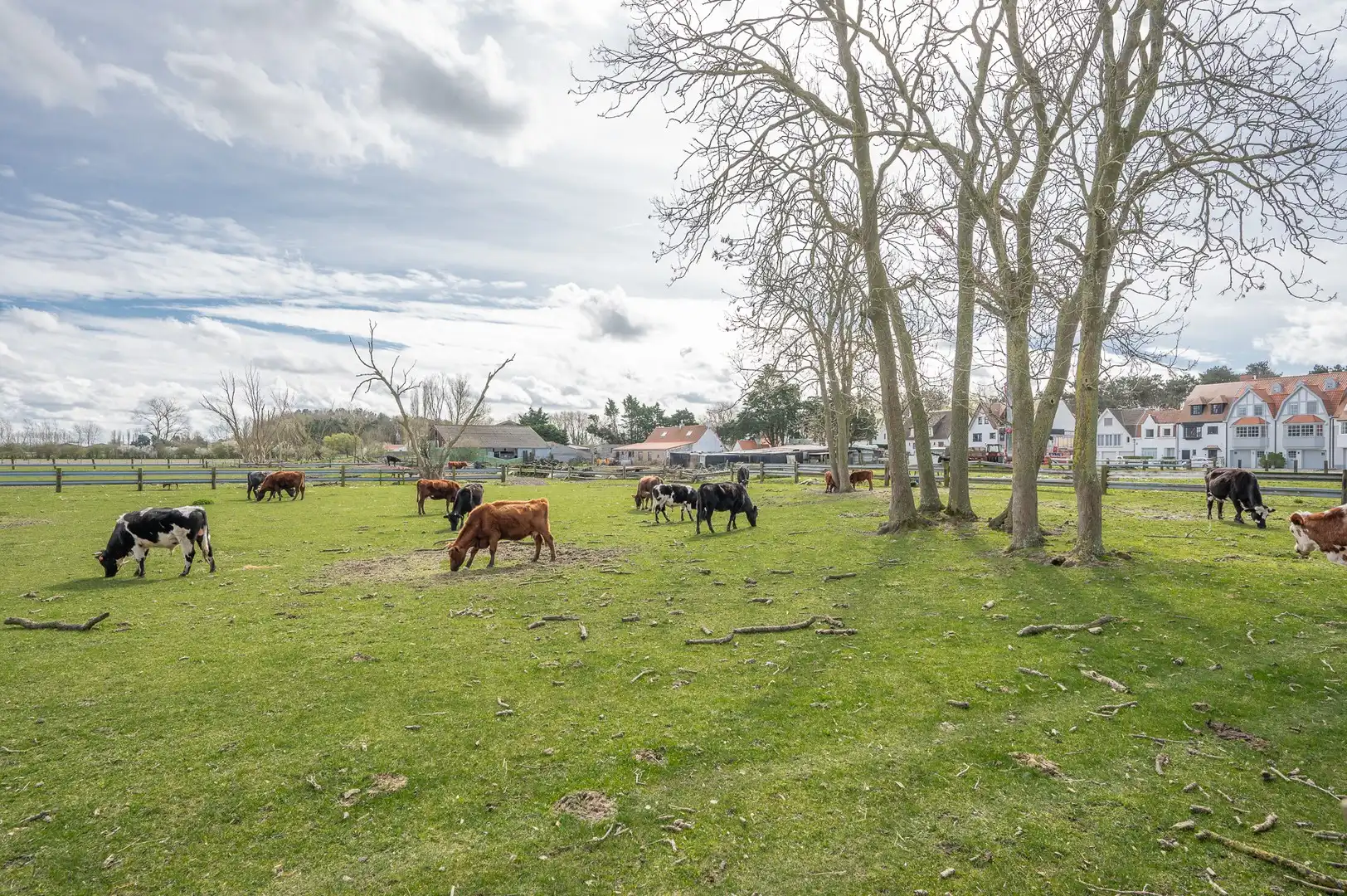Prachtige, lichtrijke woning vlakbij het pittoreske Oosthoekplein in het Zoute op wandelafstand van de zee en het Zwin. foto 7