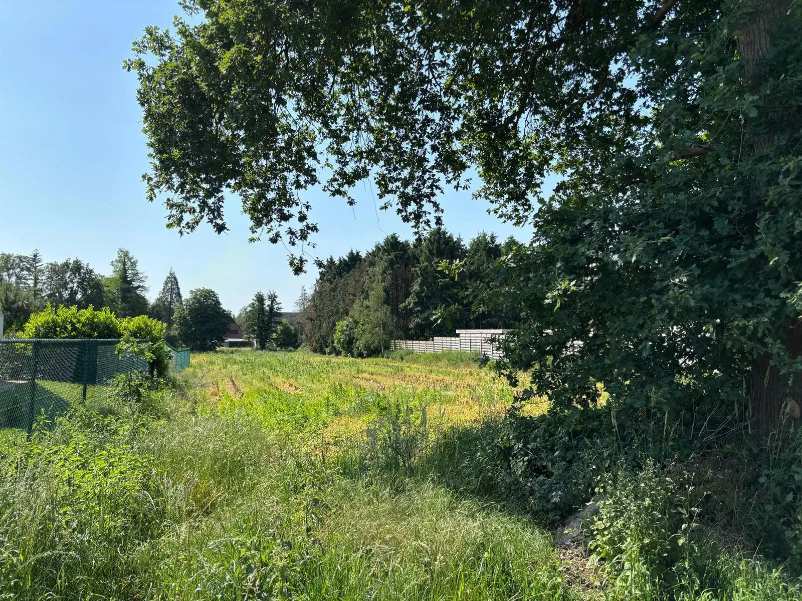 Bouwgrond HOB ca. 1279 m² gelegen te Balen, Hulsen foto {{pictureIndex}}