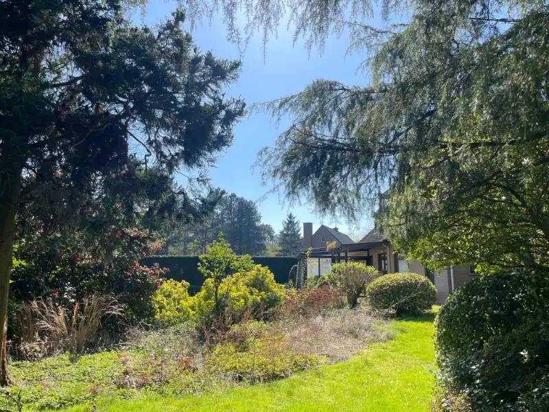 Villabouwgrond te koop – 1.967 m² – Hoge Kaart (links nr. 10) foto 4