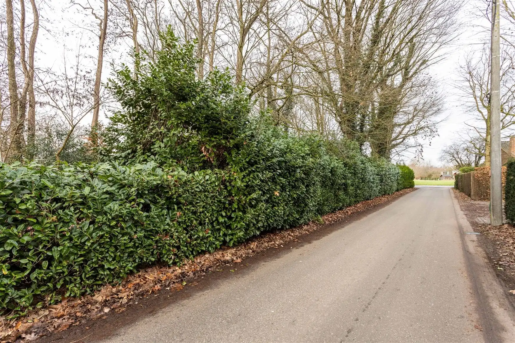 Hoekperceel met klasse – Keistraat x Berkenlaan foto 7