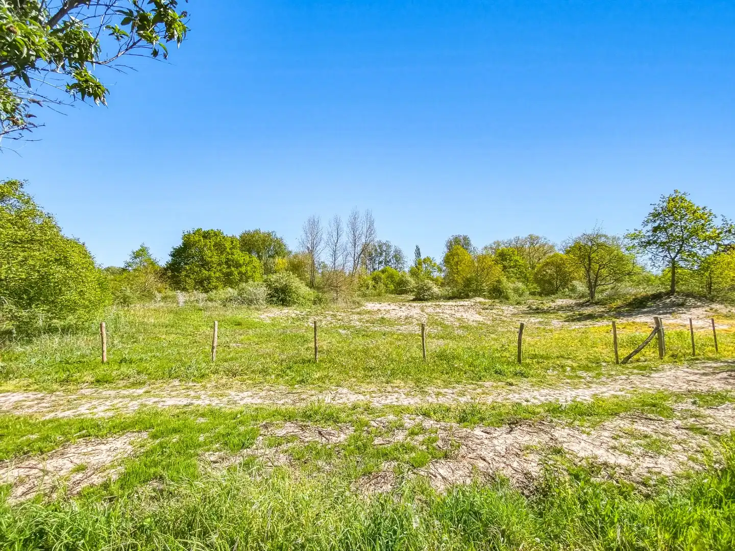 Ruime villa met 5 slaapkamers op 1082 m² te Oostduinkerke, gelegen vlakbij het natuurreservaat Hannecartbos. foto 2