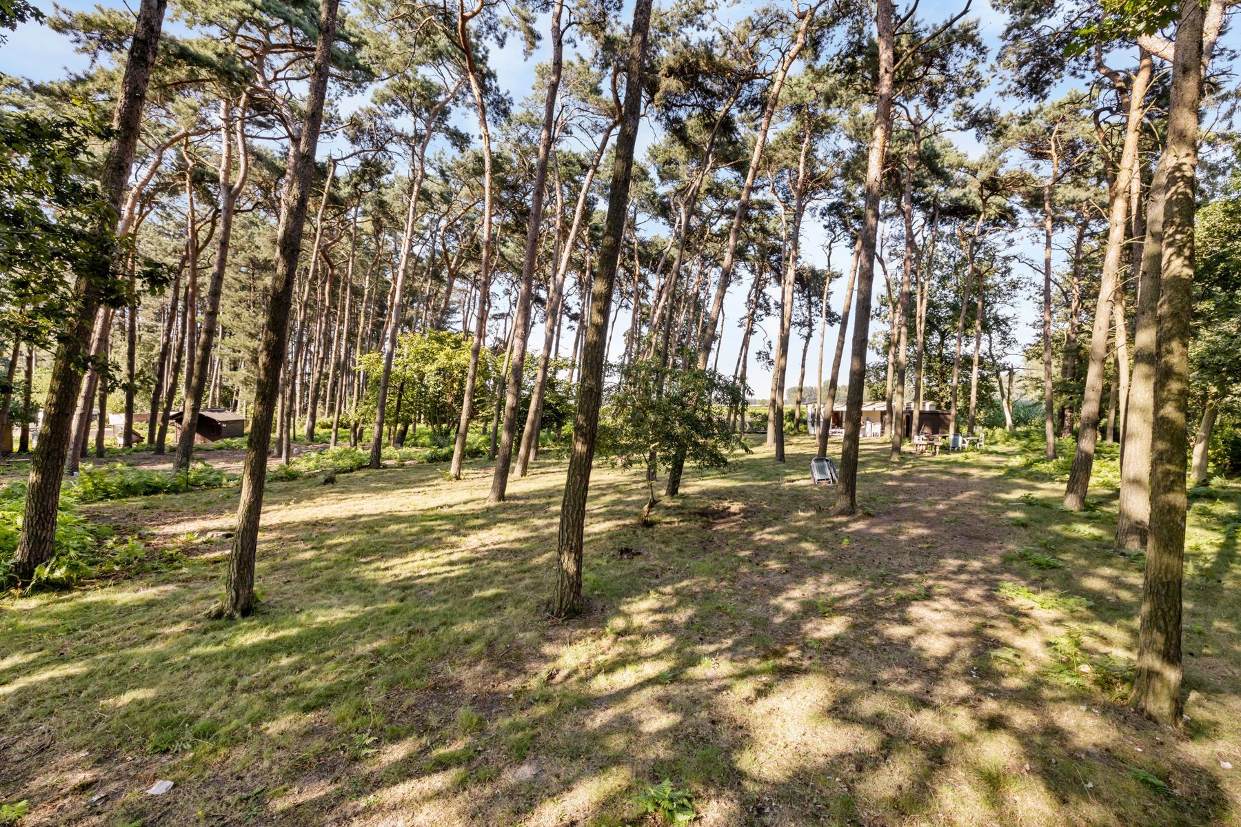 Uniek recreatieperceel van 3.740m² met extra's foto 4