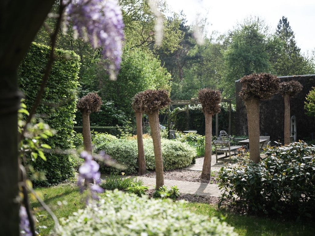 Uitzonderlijke opportuniteit Sint-Amandsberg – ‘Villa Bromelia’ - Statige en ruime woning (437m2 bvo) met een prachtig aangelegde tuin op een boogscheut van het stadscentrum – nabij de Rozenbroeken. foto 7