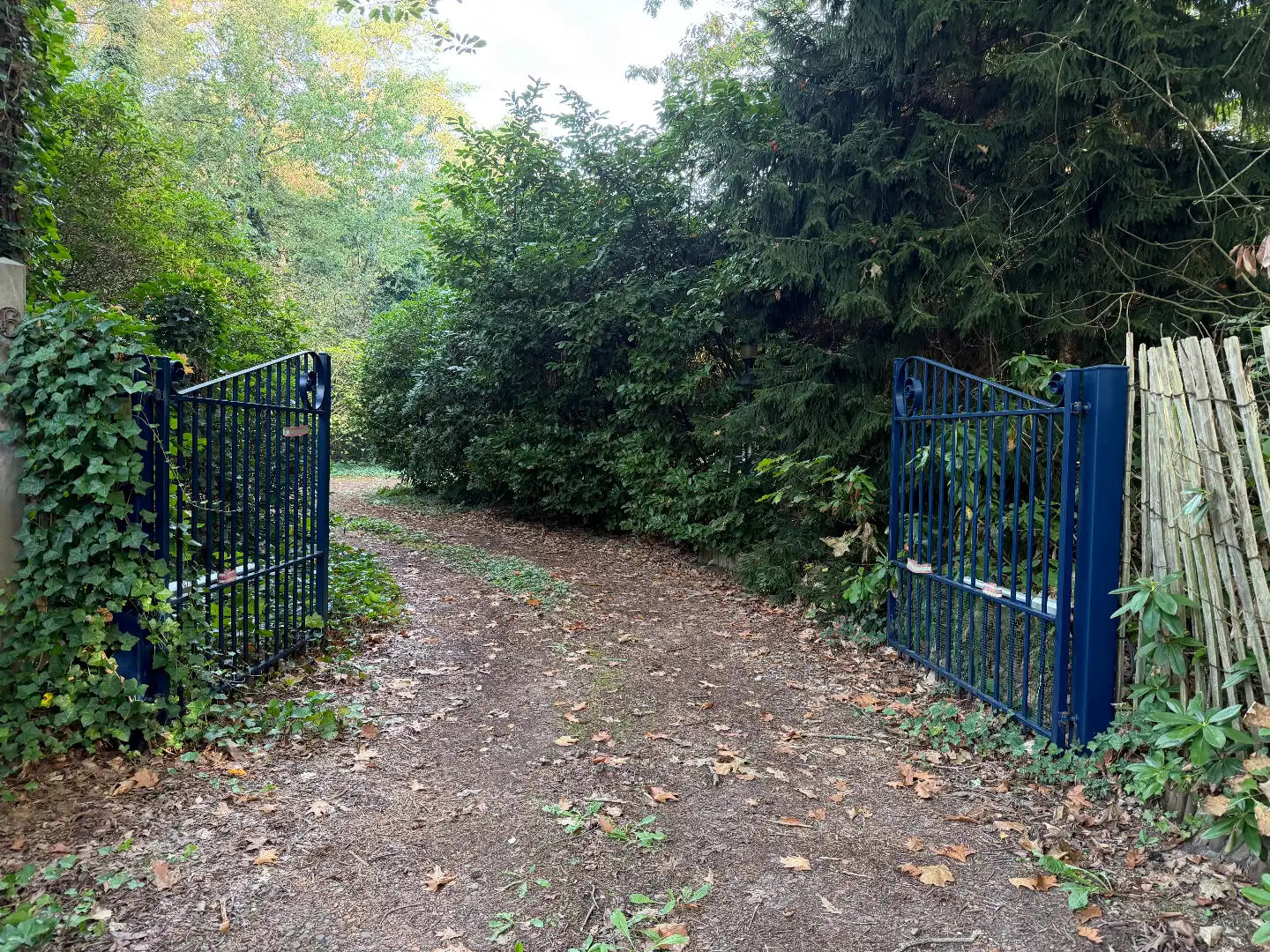 Rustig wonen midden in de bossen op een perceel van 2.005 m² in Schilde foto 16