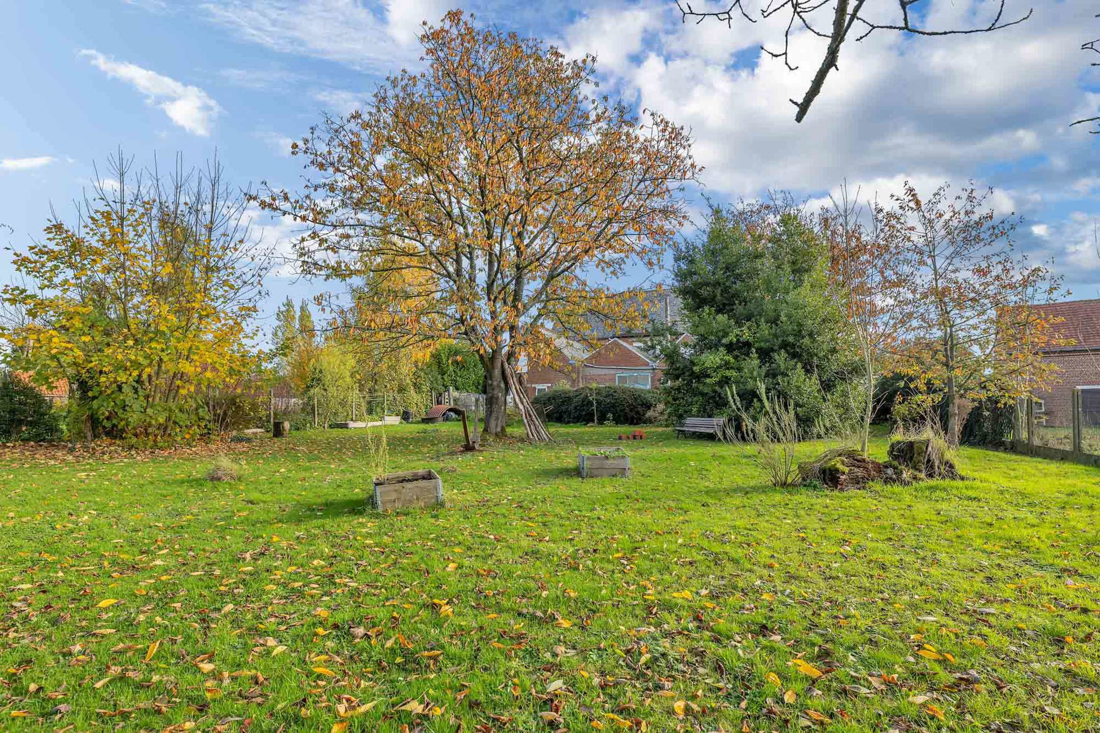 Woning met loods en 510 m² bewoonbare oppervlakte in Velzeke foto 35