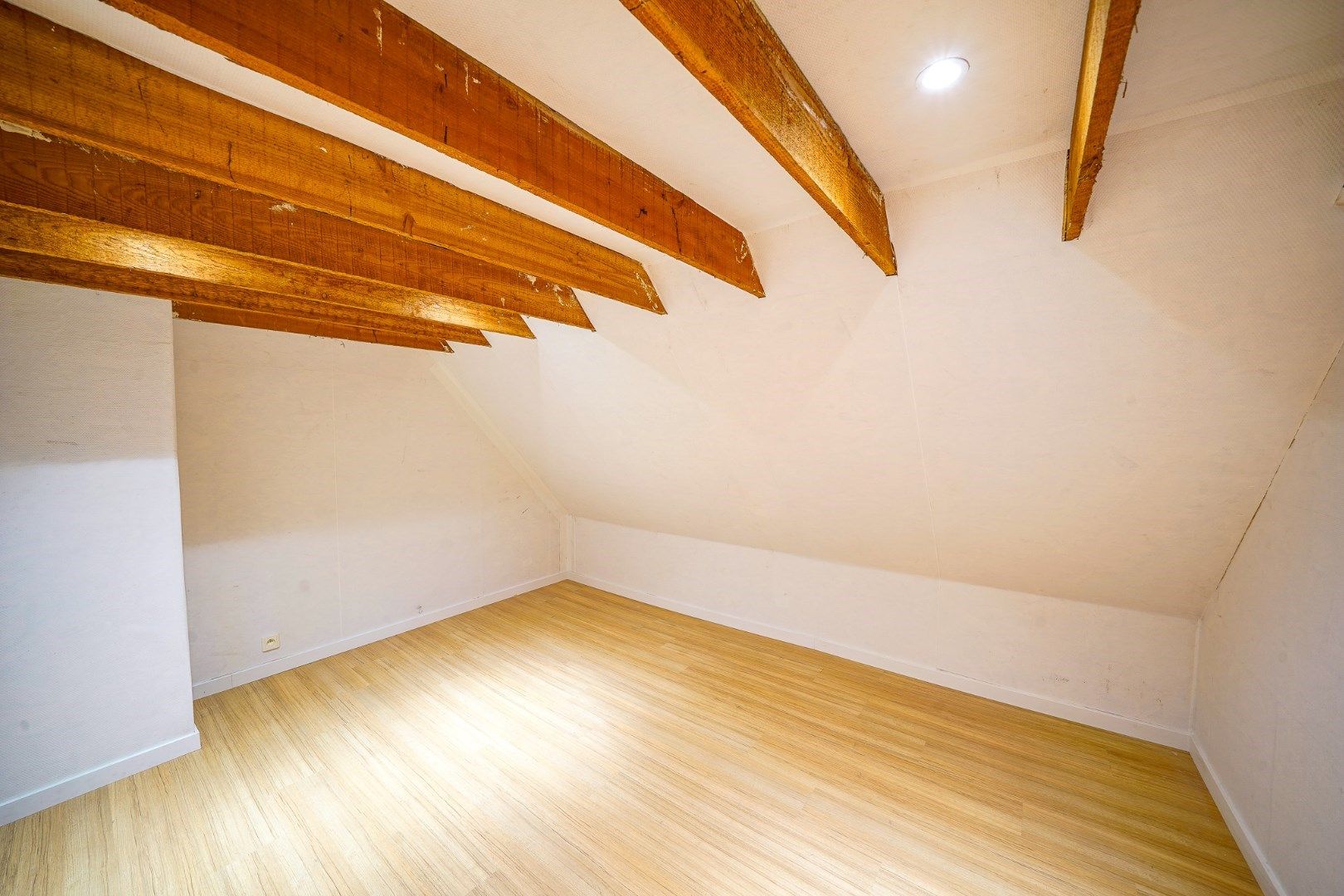 Landelijke vrijstaande woning op zongericht perceel foto 16