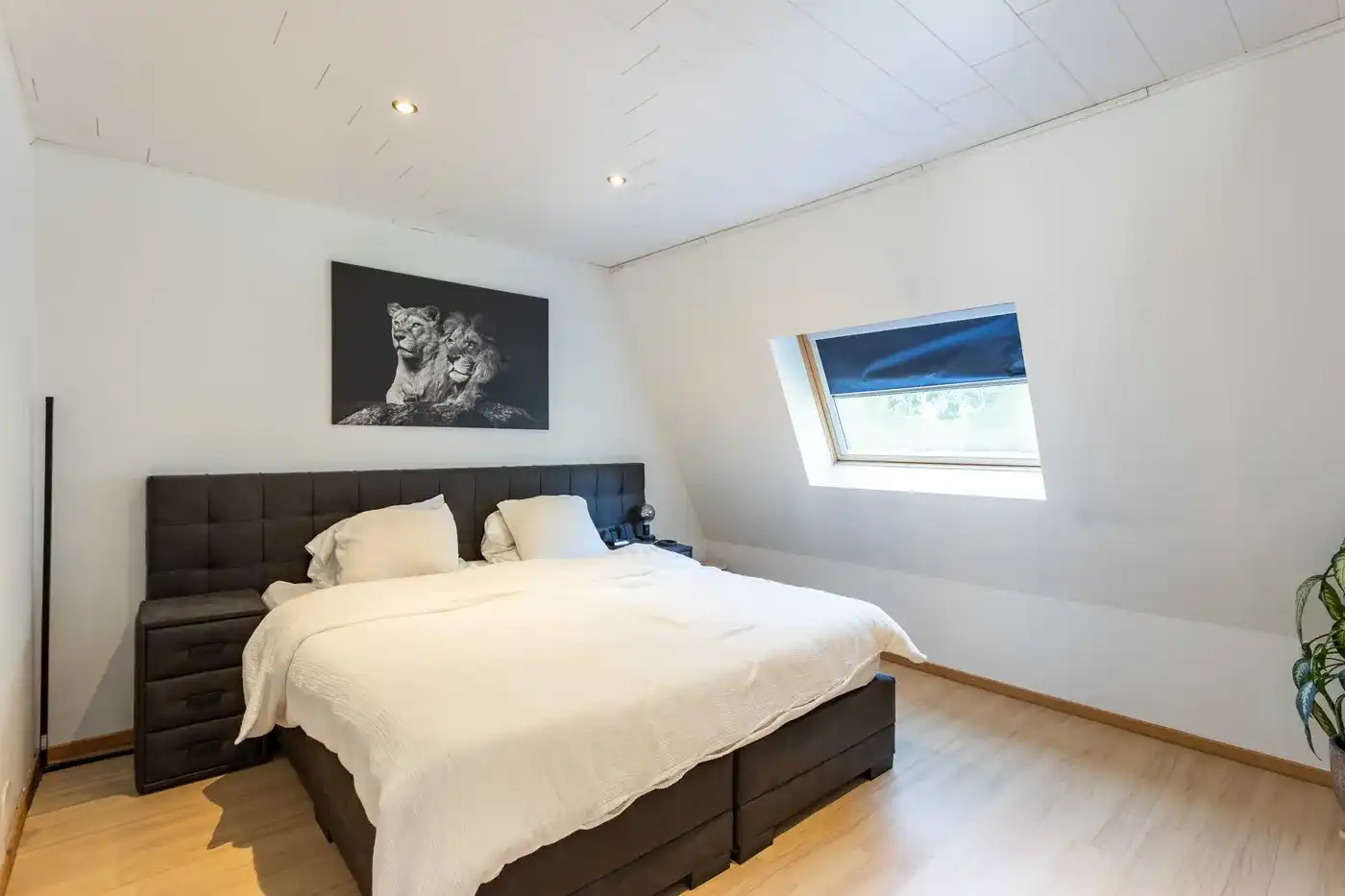 Instapklare, vernieuwde woning op rustige locatie! foto 11