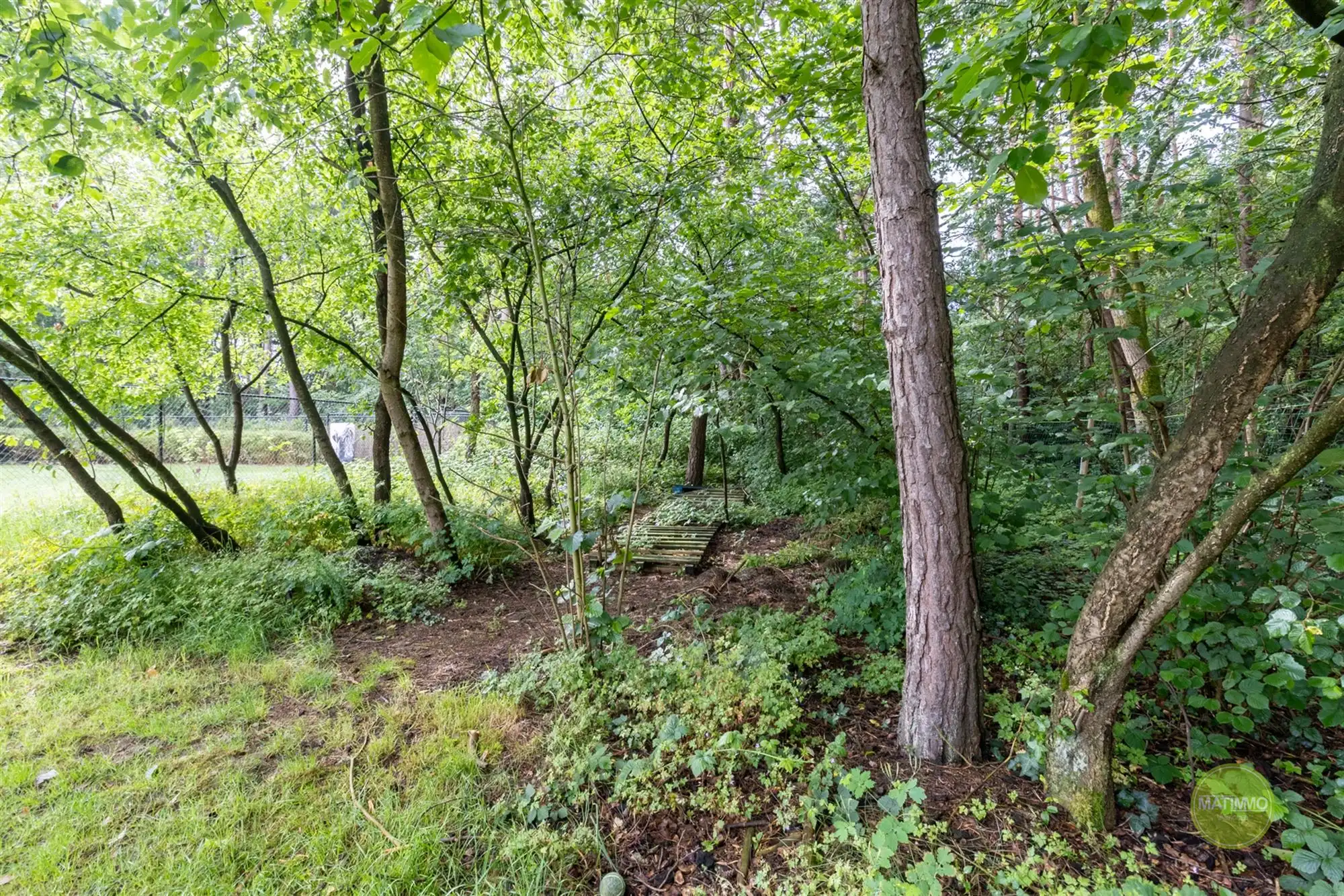 Gerenoveerde gezinswoning op een perceel van 1.415 m2 te Mol foto 4