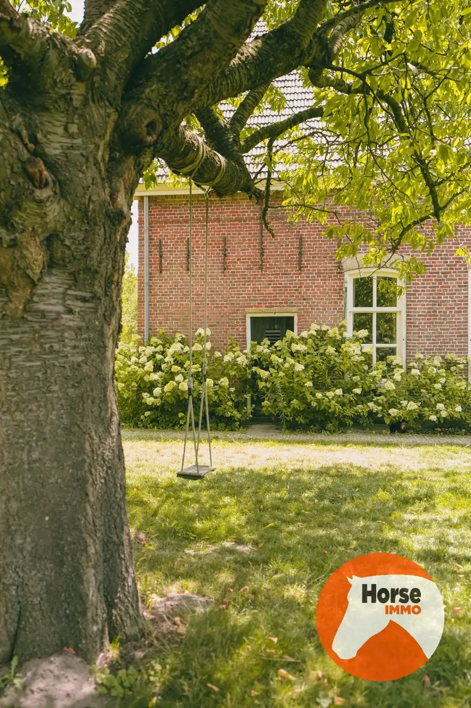 AXEL - Hoeve op een goede locatie met paardenfaciliteiten foto 16